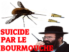 https://image.noelshack.com/fichiers/2018/13/1/1522055348-suicidebourmouche.png