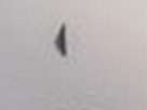 https://image.noelshack.com/fichiers/2018/13/1/1522078953-nez-de-kyoko.png