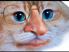 https://image.noelshack.com/minis/2018/13/3/1522238344-pol.png