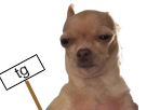 https://image.noelshack.com/fichiers/2018/13/4/1522334426-chien-blase-tg.png