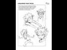 https://image.noelshack.com/fichiers/2018/13/6/1522452719-natsu.png