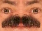 https://image.noelshack.com/minis/2018/14/2/1522765654-1516567736-risimosh.png
