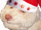 https://image.noelshack.com/minis/2018/14/5/1523011272-1448655269-6.png