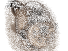 https://image.noelshack.com/minis/2018/14/7/1523193344-chat-se.png