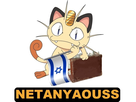 https://image.noelshack.com/fichiers/2018/15/1/1523301440-netamiaouss.jpg