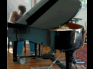 https://image.noelshack.com/fichiers/2018/15/2/1523314615-roughrider-pianist.gif