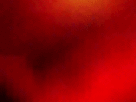 https://image.noelshack.com/fichiers/2018/15/2/1523353916-13-k3k2u0cf.gif