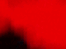https://image.noelshack.com/fichiers/2018/15/2/1523353924-22-k3k2u0cf.gif