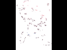 https://image.noelshack.com/minis/2018/15/5/1523623115-natsuki-dance-gif-by-upsilion-dbyym6m.png