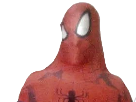 https://image.noelshack.com/fichiers/2018/15/5/1523654424-spiderman21.png