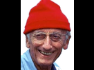 https://image.noelshack.com/minis/2018/15/6/1523714139-cousteau-23.png