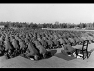 https://image.noelshack.com/fichiers/2018/15/7/1523798940-muslim-members-of-the-waffen-ss-13th-division-at-prayer-during-their-training-in-germany-1943.jpg