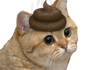 https://image.noelshack.com/minis/2018/16/2/1523919546-chatcaca.png