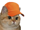 https://image.noelshack.com/fichiers/2018/16/2/1523930628-1519289060-1516486267-chat-casquette.png