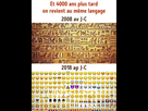 https://image.noelshack.com/fichiers/2018/16/2/1523965767-01.jpg