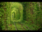 https://image.noelshack.com/fichiers/2018/16/3/1524068420-1-tunnel-of-love-ukraine-beautiful-pictures-nature-around-the-planet-great-atmosphere-photography.jpg