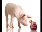 https://image.noelshack.com/fichiers/2018/16/3/1524084648-confiture-cochon.jpg
