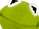 https://image.noelshack.com/fichiers/2018/16/3/1524087172-kermit3.png