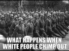 https://image.noelshack.com/minis/2018/16/5/1524239317-whitechimpout.png