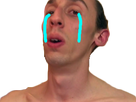 https://image.noelshack.com/fichiers/2018/16/6/1524264027-1524227119-png.png