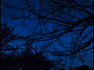 https://image.noelshack.com/fichiers/2018/16/7/1524385712-stars.jpg