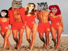 https://image.noelshack.com/fichiers/2018/16/7/1524397999-picsart-04-22-01-52-10-500x375.jpg