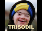https://image.noelshack.com/minis/2018/16/7/1524405079-trisodil.png