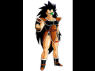 https://image.noelshack.com/fichiers/2018/16/7/1524407242-raditz.png