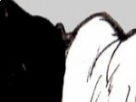 https://image.noelshack.com/fichiers/2018/16/7/1524411236-26-gqsmykl4.png