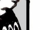 https://image.noelshack.com/fichiers/2018/16/7/1524411238-40-gqsmykl4.png
