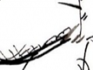 https://image.noelshack.com/fichiers/2018/16/7/1524411243-53-gqsmykl4.png