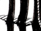 https://image.noelshack.com/fichiers/2018/16/7/1524411244-54-gqsmykl4.png