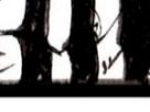 https://image.noelshack.com/fichiers/2018/16/7/1524411245-62-gqsmykl4.png