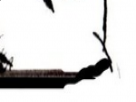 https://image.noelshack.com/fichiers/2018/16/7/1524411246-64-gqsmykl4.png