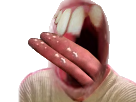 https://image.noelshack.com/fichiers/2018/16/7/1524429681-40866-full.png