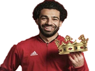 https://image.noelshack.com/fichiers/2018/17/2/1524598598-salah-roi.png