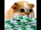 https://image.noelshack.com/fichiers/2018/17/3/1524664415-hamsteriche.png