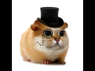 https://image.noelshack.com/fichiers/2018/17/3/1524664627-monoclechamester.png