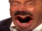 https://image.noelshack.com/fichiers/2018/17/3/1524668499-48214-full.png