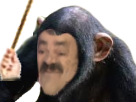 https://image.noelshack.com/fichiers/2018/17/3/1524674950-1499771596-singe.png