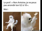 https://image.noelshack.com/minis/2018/17/4/1524753319-mdr72.png