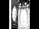 https://image.noelshack.com/fichiers/2018/17/5/1524829962-tkdnxyv2.png
