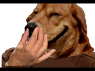 https://image.noelshack.com/fichiers/2018/18/1/1525057679-tp.png