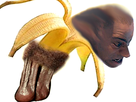 https://image.noelshack.com/fichiers/2018/18/1/1525076026-14208.png