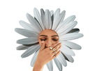 https://image.noelshack.com/minis/2018/18/1/1525095615-fleur.png