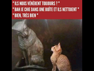 https://image.noelshack.com/fichiers/2018/18/2/1525161746-01.jpg