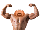 https://image.noelshack.com/fichiers/2018/18/4/1525337317-avortin-muscle2.png