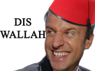 https://image.noelshack.com/fichiers/2018/18/5/1525433045-diswallah.png