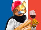 https://image.noelshack.com/fichiers/2018/18/5/1525457469-fox-210-v2.png