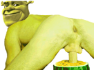 https://image.noelshack.com/minis/2018/19/1/1525715032-petitoursbruin.png